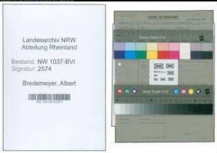 Entnazifizierung Albert Bredemeyer , geb. 18.11.1895 (Betriebsleiter)