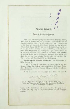 Fünftes Kapitel. Das Elbsandsteingebirge