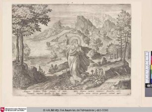 [Dritter Tag: Gott erschafft Land, Meer und Pflanzen]