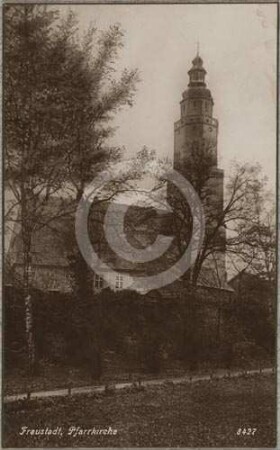 Katholische Pfarrkirche Fraustadt von NO