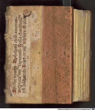 Excerpta theologica - BSB Clm 19820