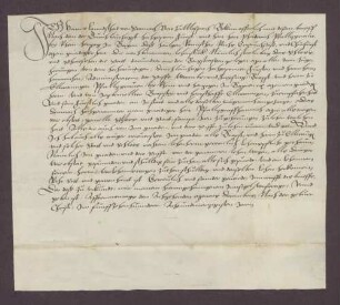 Der Propst zu Ellwangen belehnt den Kurfürsten von der Pfalz bzw. dessen Lehnsträger mit der Burg Strahlenberg, der Stadt Schriesheim sowie zugehörigen Gütern und Gerechtsamen.