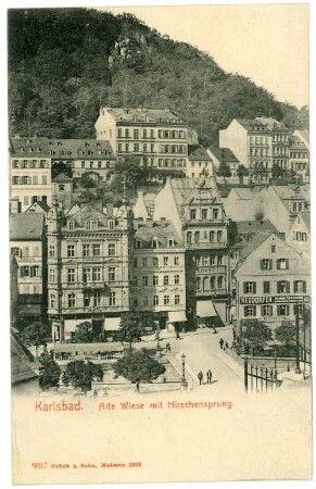 Karlsbad. Alte Wiese mit Hirschensprung