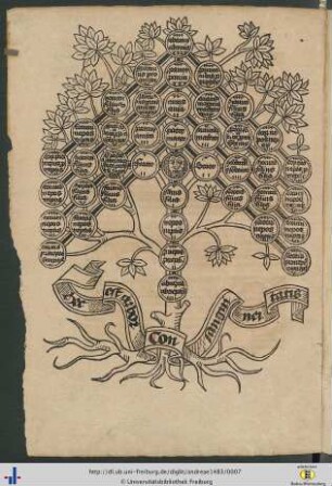 Arbor consanguinitatis.