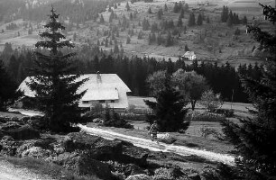 Schwarzwaldhof in Blasiwald