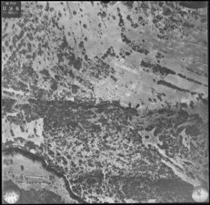 Aufnahme 021