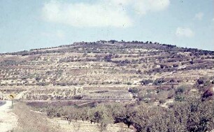 Burghügel von Samaria [sebastie]