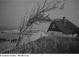 Ahrenshoop. Gebäude und Strand