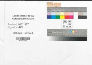 Entnazifizierung Gerhard Schmidt , geb. 05.11.1910 (Kaufmann)