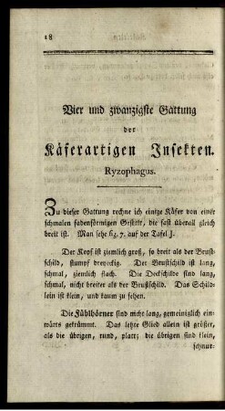 Vier und zwanzigste Gattung der Käferartigen Insekten. Ryzophagus.