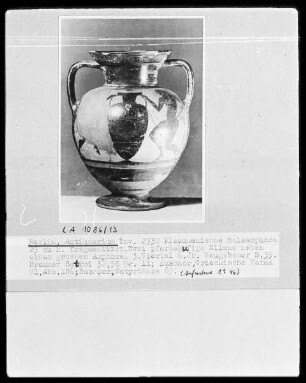 Amphora