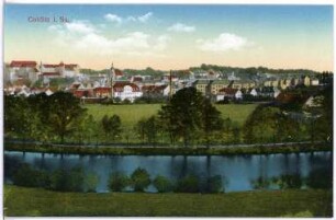 Colditz. Blick auf Colditz
