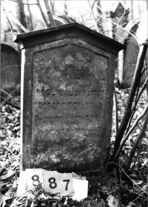 Grabstein 887 (Index: 99751186) Material: Sandstein Zustand: abgeblätt/verwitt/großer Textverlust Maße HxBxT: 92x48x8 cm Beschreibung: Stele, giebelartiger Abschluß mit Verdachung, Schriftfeld eingetieft: Grabstein 887