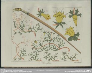 Taf. 12 Gemaltes Ornament