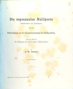 Die sogenannten Nulliporen (Lithothamnium und Dactylopora) und ihre Betheiligung an der Zusammensetzung der Kalkgesteine. 1, Die Nulliporen des Pflanzenreichs (Lithothamnium)