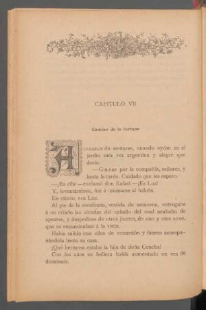 Capítulo VII - Camino de la fortuna