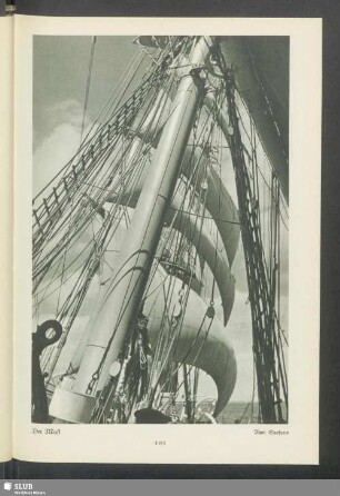 Der Mast