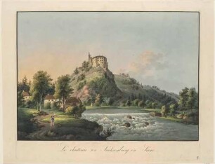 Das Schloss Sachsenburg nördlich von Frankenberg/Sachsen über das Wehr im Zschopautal von Westen gesehen