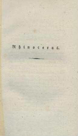 Rhinoceros