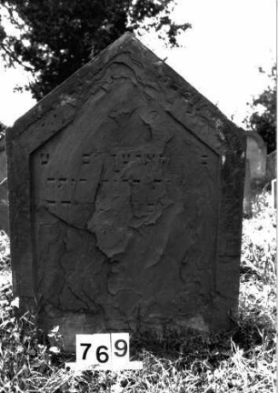 Grabstein 769