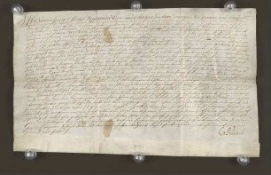 1723 Aug. 18. Gräflich lippischer Lehnsbrief für Kleinsorgen.