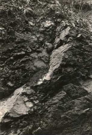 Elbsandsteingebirge. Riesengrund, gequetschter Granit mit Rutschharnisch