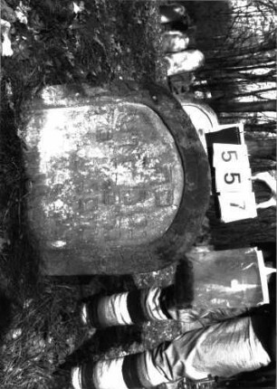 Grabstein 557