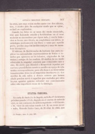 Estatura prodigiosa