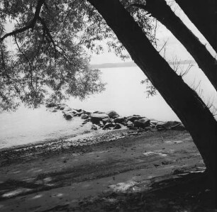 Piermont, Rockland County, Bäume am Hudson