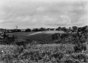 Landwirtschaftliche Anbaufläche : Vermutlich von den Europäern angelegte Anbauflächen in hügeliger Landschaft in Tansania