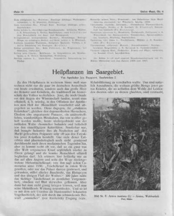 Heilpflanzen im Saargebiet.
