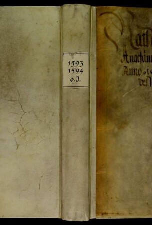 Ratsprotokolle, 1593 Juli 31. - 1594 Aug. 1.