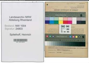 Entnazifizierung Heinrich Spliethoff , geb. 26.07.1896 (Kaufm.Angestellter)