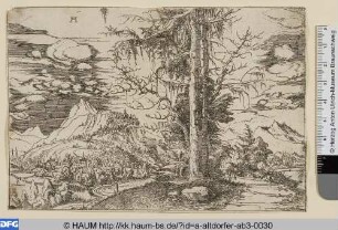 Landschaft mit Doppelfichte