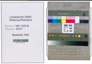 Entnazifizierung Willi Bueschel , geb. 25.11.1905 (Spediteur)