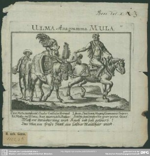 Ulma Anagramma Mula : [Kupferstich mit Text]