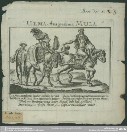 Ulma Anagramma Mula : [Kupferstich mit Text]