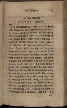 Zwölftes Kapitel. Geschichte des Sclaven.