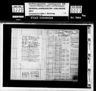 Pionier-Kompanie 338