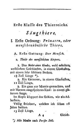 Erste Klasse des Thierreichs. Säugthiere.