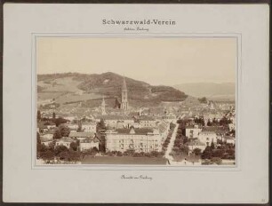 Ansicht von Freiburg mit Münster und Schlossberg von Westen