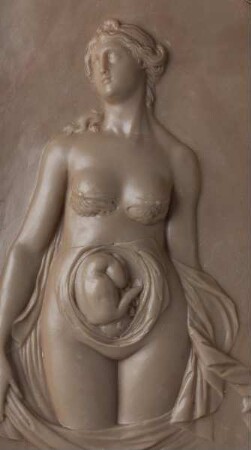 Gynäko-anatomisches Halbrelief "Marburger Venus"