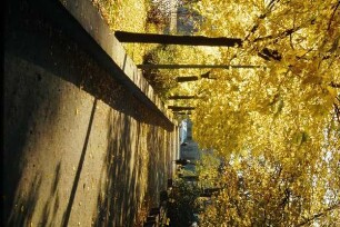 Ameide, Detmold; farbig