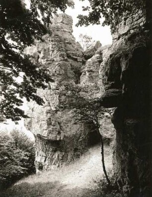 Weser-Leine-Bergland. Der Ith. Lüerdisser Klippen. Sandsteintürme mit verschiedenen Verwitterungsformen