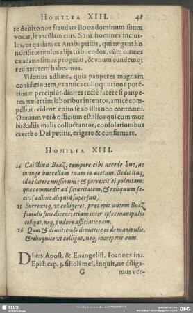 Homilia XIII