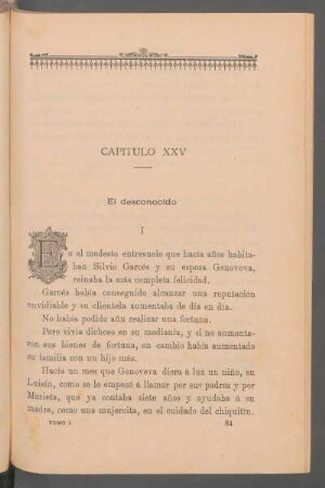 Capítulo XXV - El desconocido