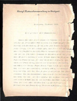 Brief von Lampert (Königliche Naturaliensammlung Stuttgart)