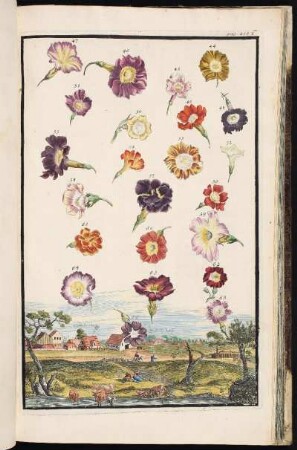 p. 216c Cleis-hamer Zabelshoff. - Nürnberg-Gleißhammer; Nürnberg-Zerzabelshof