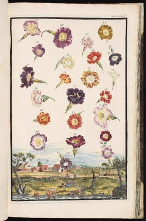 p. 216c Cleis-hamer Zabelshoff. - Nürnberg-Gleißhammer; Nürnberg-Zerzabelshof