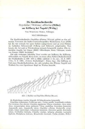Die Knoblauchschnecke Oxychilus alliarius (Miller) am Killberg bei Nagold (Württemberg)